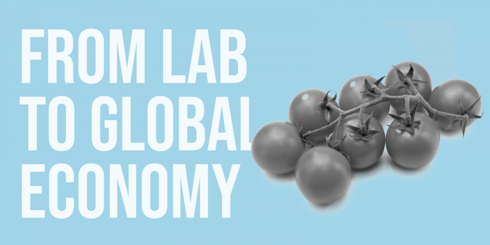 from_lab_to_global_economy